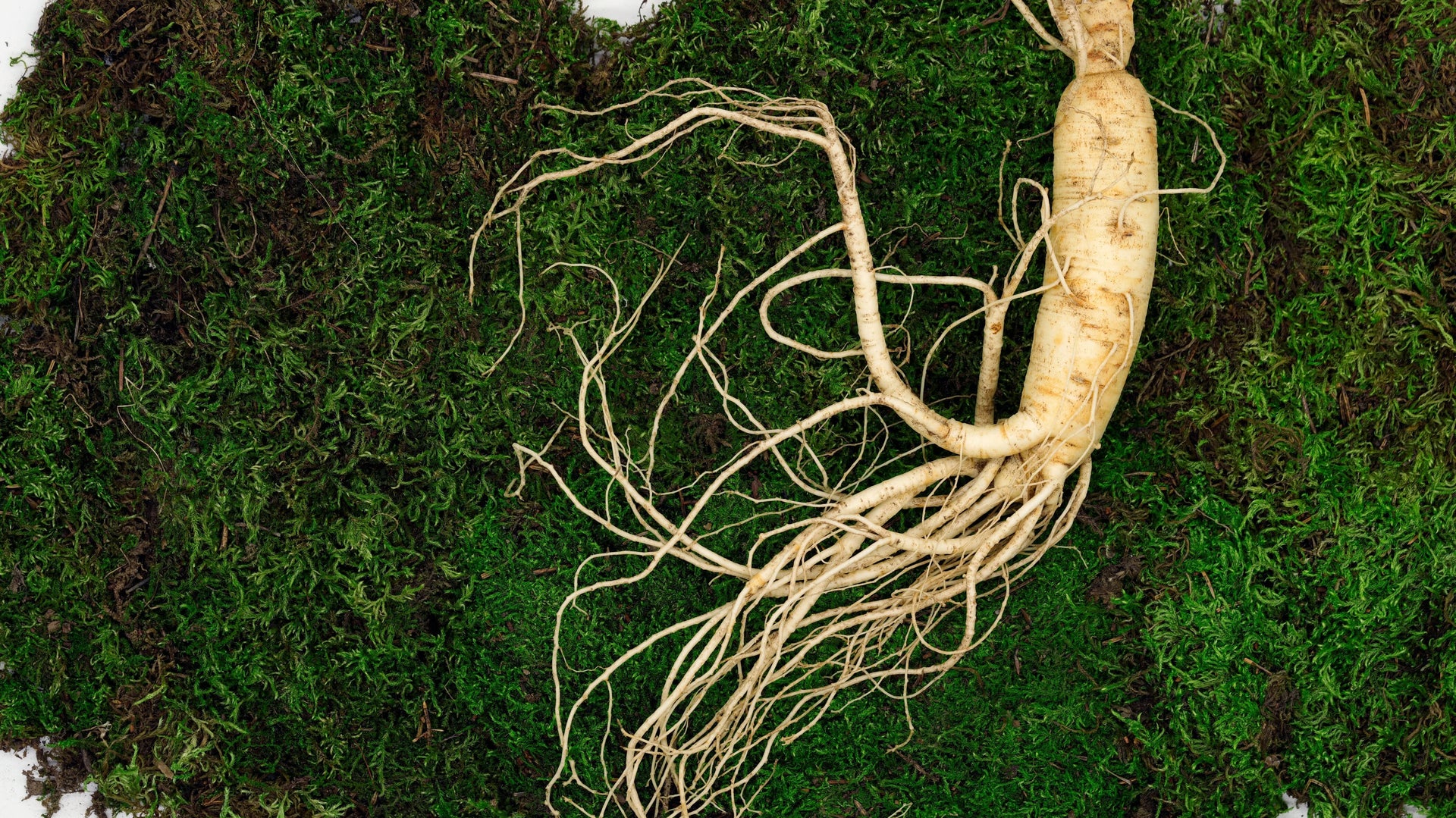 Natürliche Luststeigerer: Wie Zutaten wie Epimedium und Panax Ginseng wirken