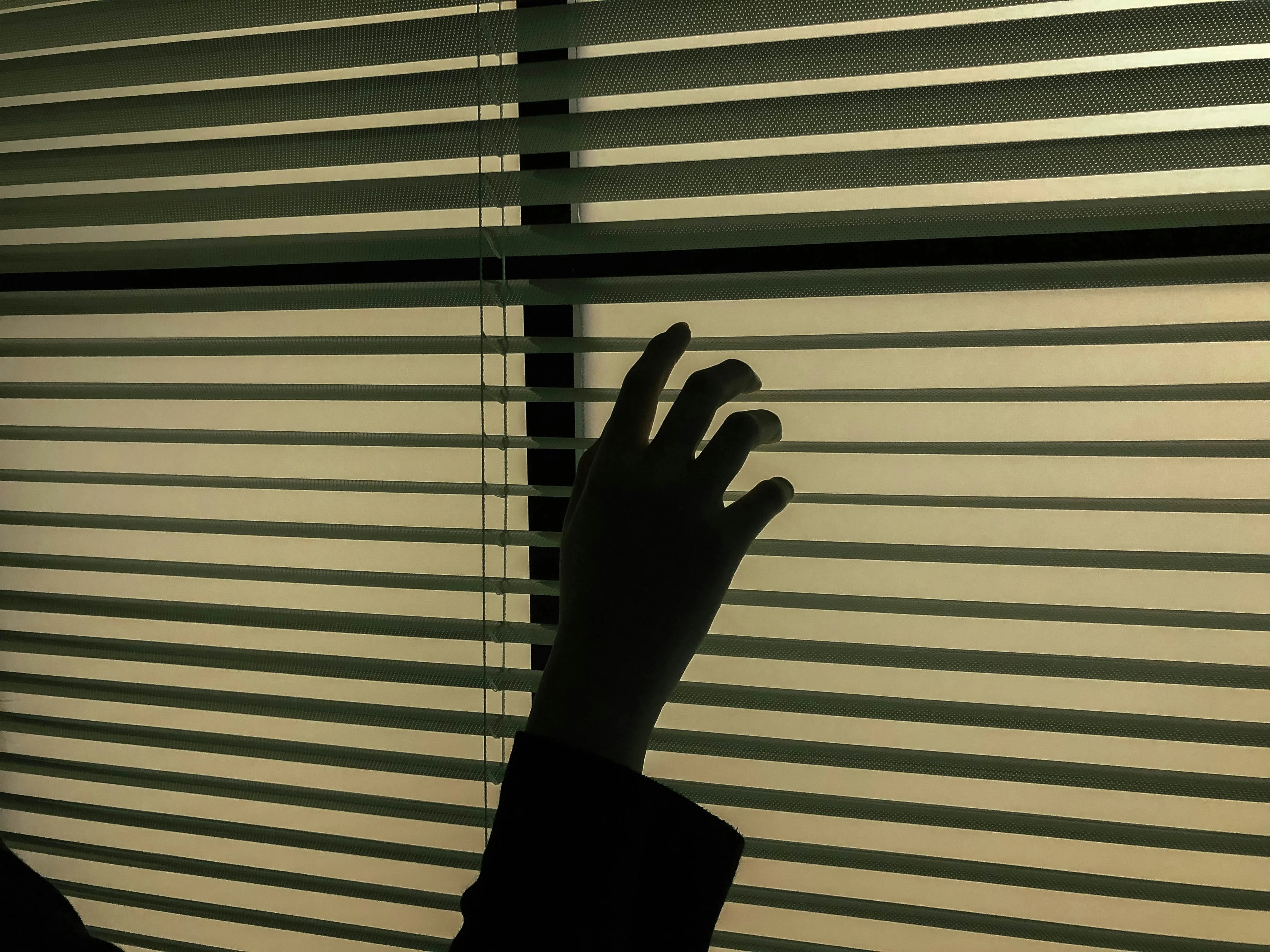 Selbstbewusstsein im Schlafzimmer: Meine Reise mit libido-steigernder Schokolade